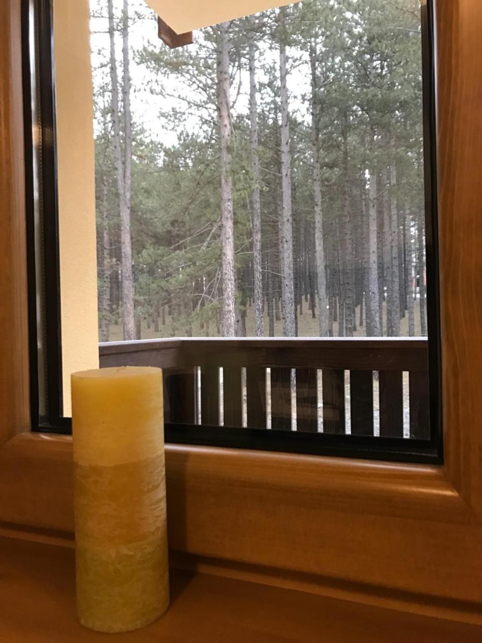 Zlatibor Apartmani Jakovljevic Екстериор снимка