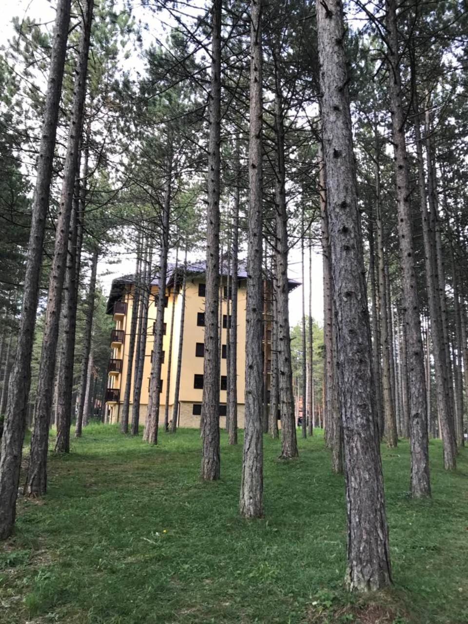 Zlatibor Apartmani Jakovljevic Екстериор снимка